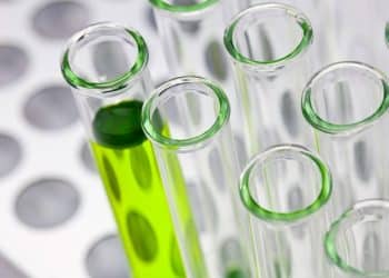 cannabinoid bioavailability