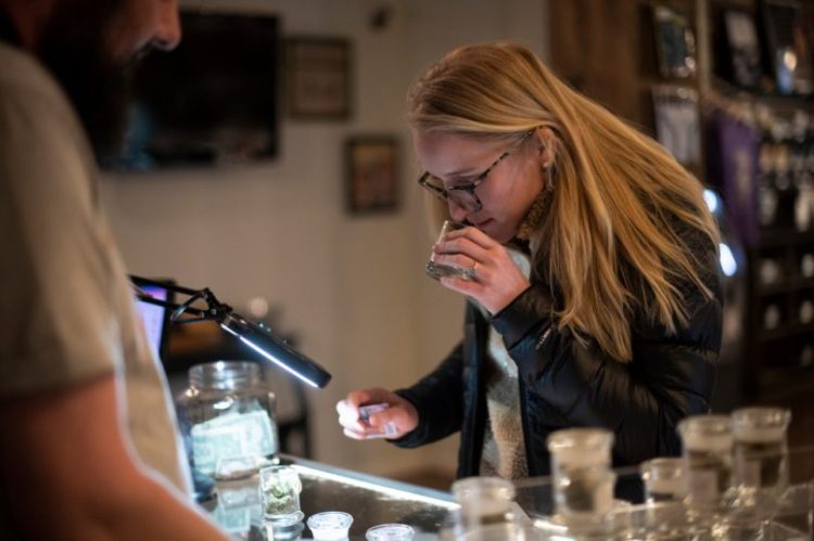 Adult-Use Retail Cannabis Sales Continue to Set Records