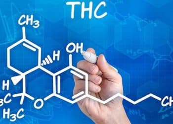 NORML Slams Proposed Changes to Federal Drug Testing Rules to Permit Hair Follicle Analysis