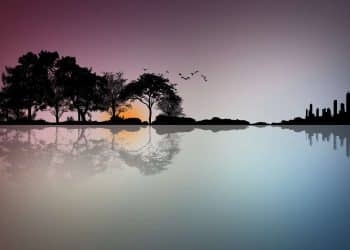 Extraction Analytics: There’s Information in Reflections