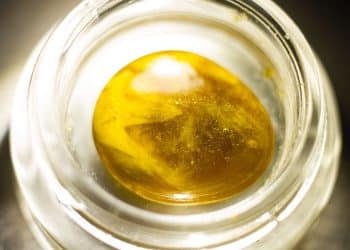 The Evolution of Dabbing Technology