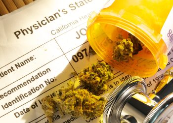 An Inside Look Into an FDA-Guided CBD Study with Dr. Rosemary Mazanet