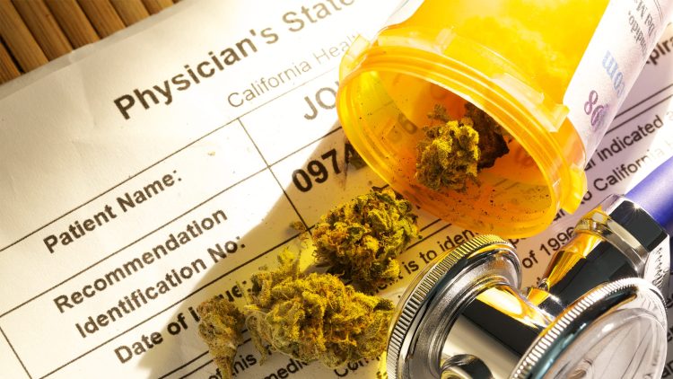 An Inside Look Into an FDA-Guided CBD Study with Dr. Rosemary Mazanet