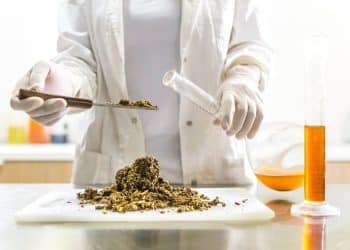 Commercial CBD Products Found Contaminated or Adulterated