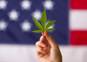 Clear Winner of Election: [Cannabis]