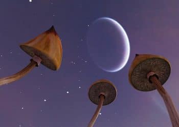 Extracting the Magic from Psychedelic Mushrooms