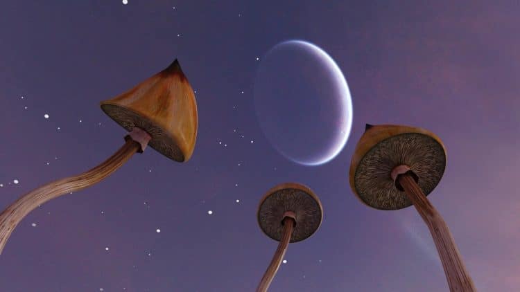 Extracting the Magic from Psychedelic Mushrooms