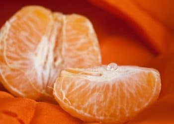 Novel Terpene Solvent from Orange Peels