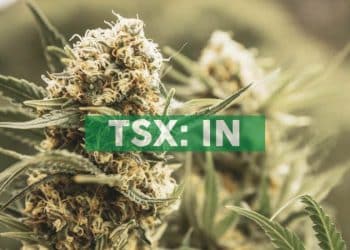 InMed Pharmaceuticals and BayMedica Announce Collaboration for Manufacturing and Testing of Novel Cannabinoid Therapeutics