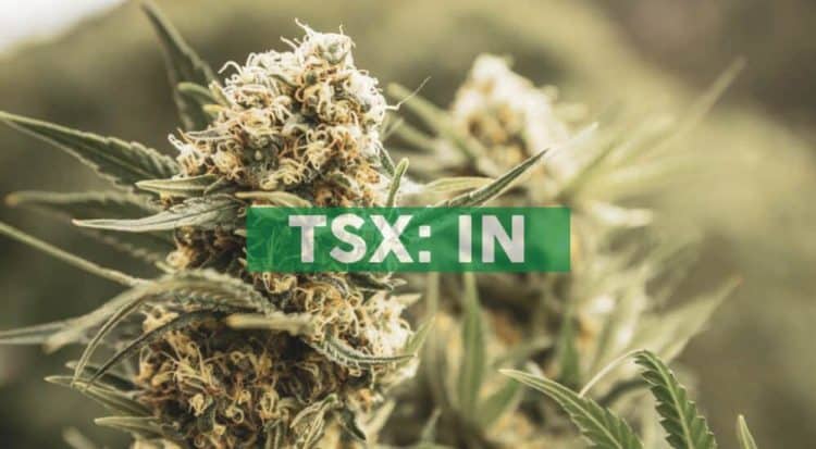 InMed Pharmaceuticals and BayMedica Announce Collaboration for Manufacturing and Testing of Novel Cannabinoid Therapeutics