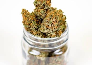 New Method Profiles Cannabis Chemistry