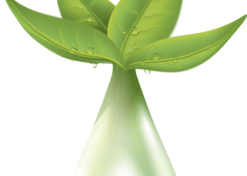 Advances in Lipid Extraction