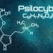 CBDV BEGINS RESEARCH ON PSILOCYBIN EXTRACTION WITH SECTION 56 EXEMPTION FROM HEALTH CANADA