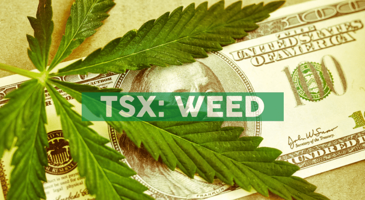 Storz & Bickel Celebrates 20th Anniversary with Release of 100 Volcano Classic Signature Edition Vaporizers, Engraved and Plated in 24-Karat Gold