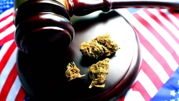 HISTORIC: Bill to End [Cannabis] Prohibition Clears Final Committee Ahead of Floor Consideration