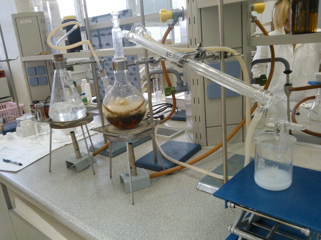 Extraction Techniques for Antioxidants from Thyme, Hemp and Coriander