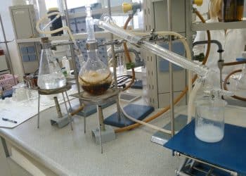 Extraction Techniques for Antioxidants from Thyme, Hemp and Coriander