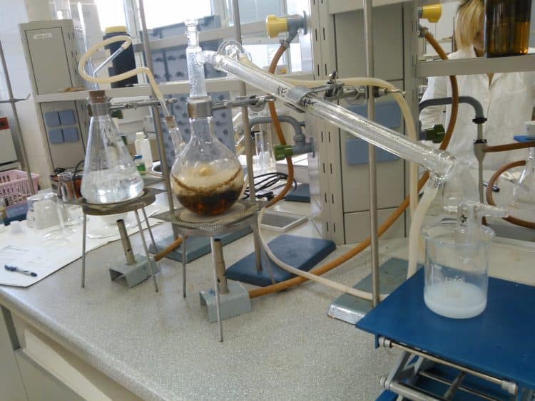 Extraction Techniques for Antioxidants from Thyme, Hemp and Coriander