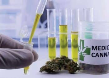 First Observational Study to Determine Efficacy of Cannabis for Veterans Gains Approval