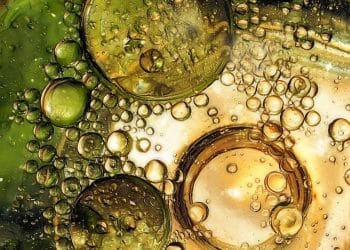 Ultrasound Extraction for High Pressure Solvents