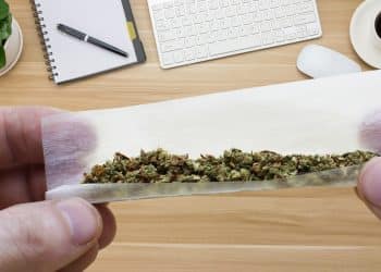 Cannabis Goes High Tech: Dab Rite™ Launches Industry’s Boldest New Infrared Thermometer