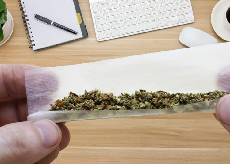 Cannabis Goes High Tech: Dab Rite™ Launches Industry’s Boldest New Infrared Thermometer