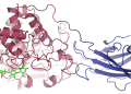Enzyme-Assisted Extraction