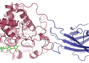 Enzyme-Assisted Extraction