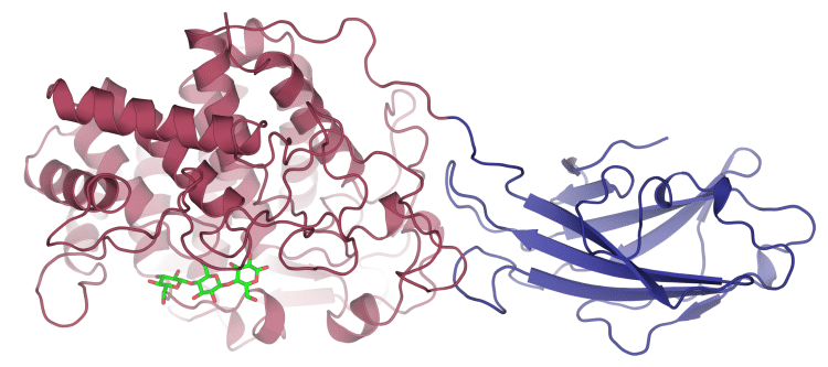 Enzyme-Assisted Extraction