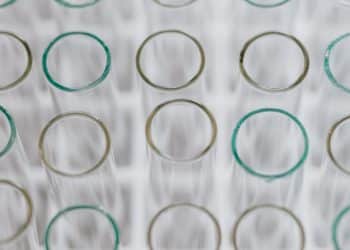 Mechanochemical-Assisted Extraction