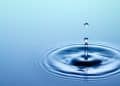 Subcritical Water Extraction (SWE)
