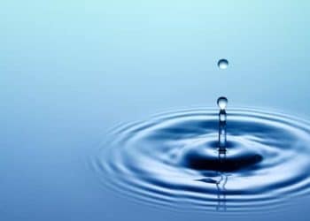 Subcritical Water Extraction (SWE)