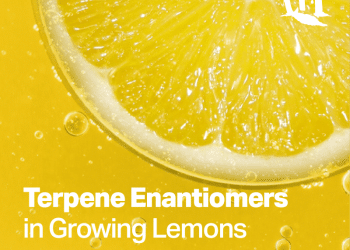 Life Cycle of a Lemon