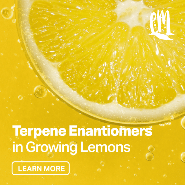 Life Cycle of a Lemon