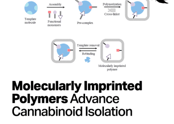 Molecularly Imprinted Polymers Advance Cannabinoid Isolation