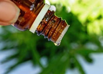 Falling Film Evaporators