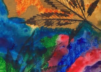 Design of Experiments for Cannabis Extraction