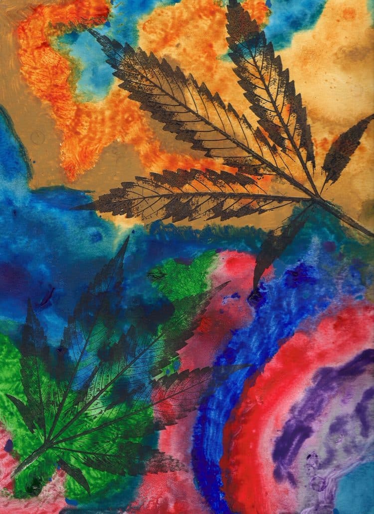 Design of Experiments for Cannabis Extraction