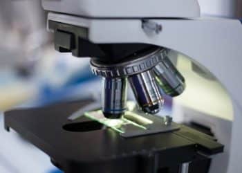 Extraction and Processing Determine Biological Activity in Cancerous and Healthy Colon Cells