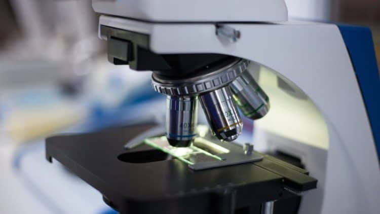 Extraction and Processing Determine Biological Activity in Cancerous and Healthy Colon Cells