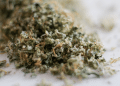 How Grinding Biomass Affects Extraction