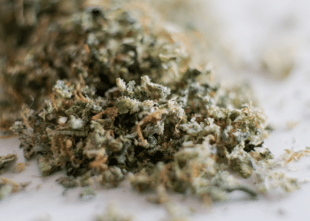 How Grinding Biomass Affects Extraction