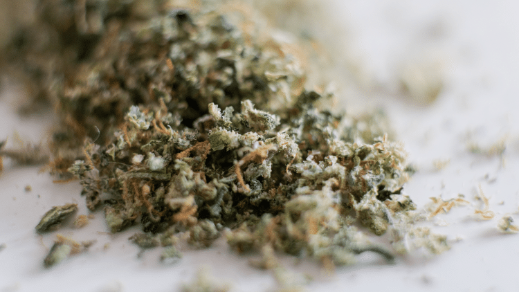 How Grinding Biomass Affects Extraction