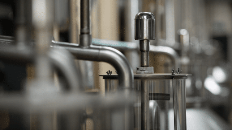 Winterization Without Ethanol Using Supercritical CO2