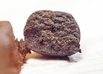 The Art of Rolling Hash by Hand