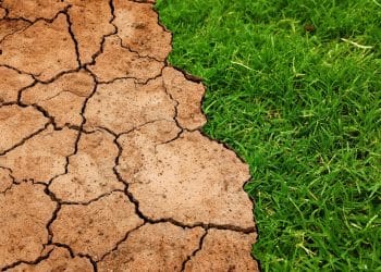 Supercritical Fluid Extraction for Contaminated Soil