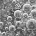 Nanoencapsulation of Essential Oils