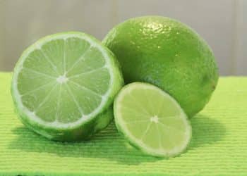 Extraction of Essential Oils from Key Lime