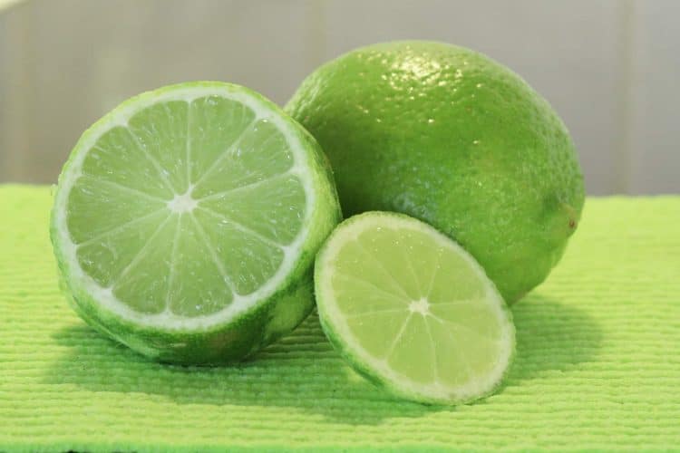 Extraction of Essential Oils from Key Lime