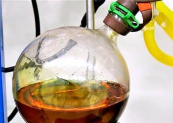 Obtaining Ibogaine from Other Iboga Alkaloids